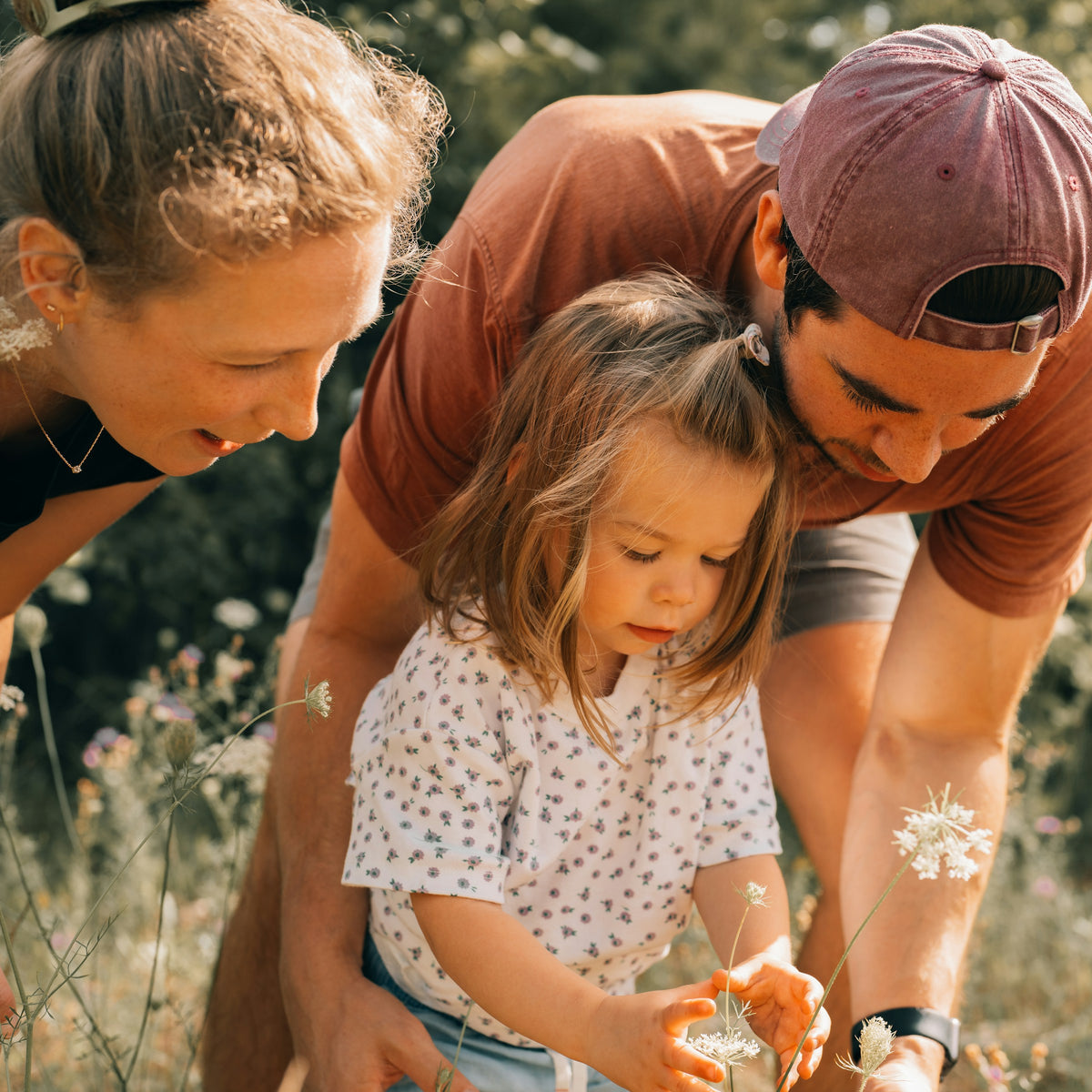 The Healthy Family Box